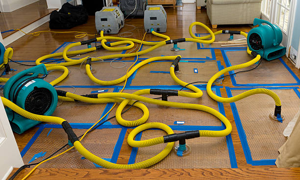 Professional Burst Pipe Water Damage technician working in Danbury, TX